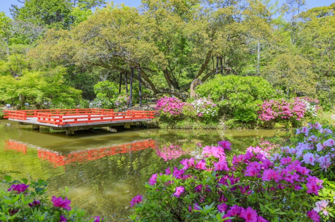 Manyo Botanical Gardens, Nara, Japan, Japan